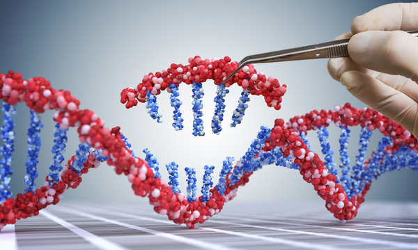 What Is A GMO, And What Does Non-GMO Mean?
