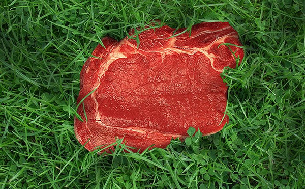 Advantages of Grass-Fed Beef