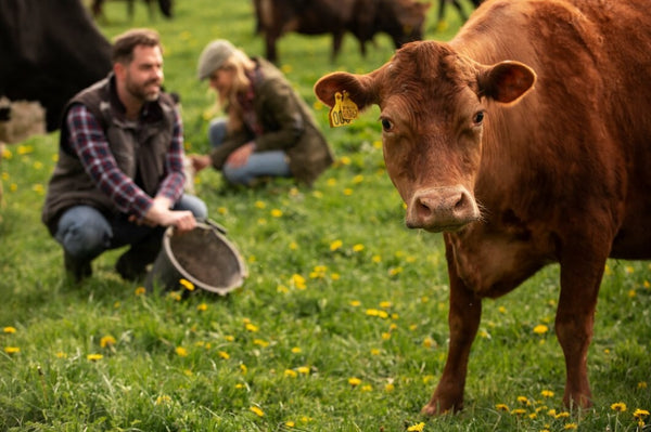 Farm-to-Table: The Health and Environmental Benefits of Organic, Grass-Fed Meat
