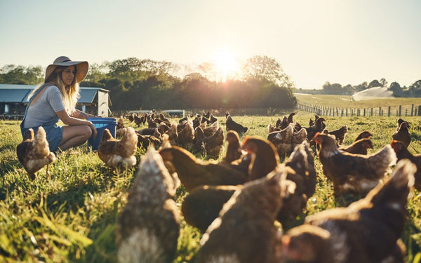 The Nuances of Farming: Why GMO-Free, Grass-Fed, and Pasture-Raised Matter