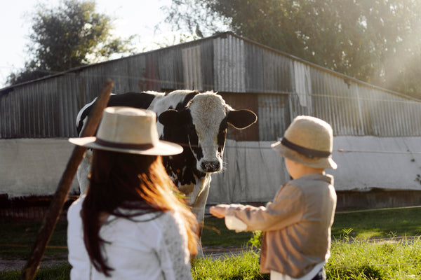 Connecting with Your Food: The Journey of Local Farm Meat from Pasture to Plate