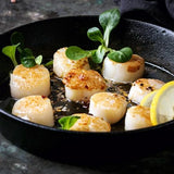 Scallops - wild caught